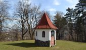 Tour Zu Fuß Kronstadt - Timișu de Jos - Cabana Postăvaru/Julius Romer - Brașov - Photo 2