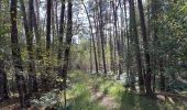 Tour Wandern Loon op Zand - Loonse Park Roestelberg 22,8 km - Photo 5