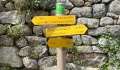 Trail Walking Pied-de-Borne - Le tour du chassezac - Photo 7