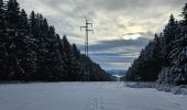 Tour Wandern Stablo - A la découverte de Hockai 🥾 - Photo 15