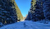 Tour Wandern La Roche-en-Ardenne - Samree 130125 - Photo 15