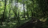 Percorso Marcia Visé - Visé, Natura des sites qui valent le détour Lg17 - Photo 10