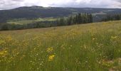 Tour Wandern Villers-le-Lac - Le Pisoux - Photo 1