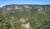 Tocht Stappen Le Rozier - corniche du Tarn et de la Jonte - Photo 11