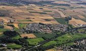 Tocht Te voet Steinheim - Rundwanderweg A4 bei Steinheim - Photo 10