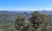 Tour Wandern La Garde-Freinet - La garde freinet - Notre Dame de Miremer - Photo 12