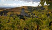 Percorso Marcia Ammerschwihr - Trois-Epis - monument du Galtz - château du Wineck - clocher vrillé de Niedermorschwihr - Photo 14