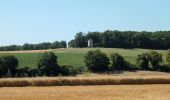 Tour Wandern Theneuil - Theneuil - la Samsonnière Lièze AM - 16.6km 275m 3h40 (1h05) - 2024 07 28 - Photo 2