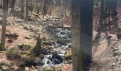 Randonnée Marche Spa - Source de la geronster  - Photo 5