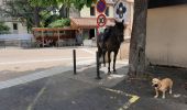 Excursión Paseo ecuestre Pont-Salomon - ecurie de l'aurore - Photo 5