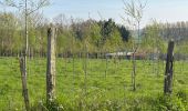 Trail Walking Aix-en-Issart - Sentier du paradis - Photo 13