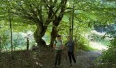 Trail Walking Hotton - Ménil Favay - Photo 14