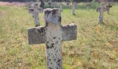 Trail Walking Hoogstraten - Wortel-Kolonie  - Photo 2