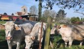 Percorso Marcia Vesly - Vesly côte de Guerny Gisancourt et le chêne, ferme de Nainville - Photo 2