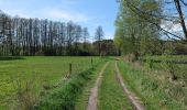 Tocht Te voet Am Mellensee - Mellenseer Heideweg - Photo 3