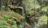 Tour Zu Fuß Willebadessen - Rundwanderweg Borlinghausen A2 (Willebadessen: Borlinghausen) - Photo 2