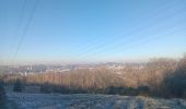Trail Walking Liège - autour de Streupas - Photo 12