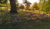 Tour Wandern Buchsweiler - Bouxwiller Batsberg Chortens - Photo 1