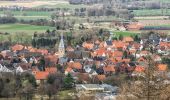 Tour Zu Fuß Nieheim - Nieheimer Kunstpfad - Photo 8