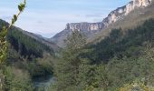 Trail Walking Massegros Causses Gorges - GR DE PAYS Causse Mejean et Gorges du Tarn  - Photo 7
