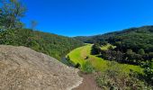 Tour Wandern Bouillon - Le Sentier des Points de Vues - Bouillon - Photo 16