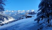 Tocht Sneeuwschoenen Le Grand-Bornand - Grand Bornand- G2 - Photo 3