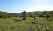 Randonnée A pied Blandas - Les mégalithes du Causse de Blandas - Photo 1