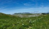 Tour Wandern Bouvante - Fond d'Urle Chaud Clapier  - Photo 1