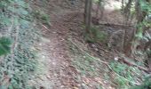 Trail Walking Mons - Nimy adeps - Photo 1