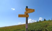 Excursión Senderismo Crêts-en-Belledonne - Refuge du Crêt du poulet-col de Merdaret-Bois Vert - Photo 14