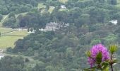 Trail Walking Killarney Municipal District - Muckross House and the Torc water falls - Photo 6
