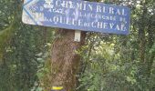 Tour Wandern Saint-Claude - la cascade de la queue de  cheval  - Photo 1