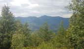 Trail Walking Muhlbach-sur-Bruche - Le Jardin des Fées par la cascade de Soulzbach - Photo 19