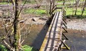 Randonnée Marche Daverdisse - Gembes (le long de l'Our et de la Lesse) - Photo 10