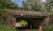 Tour Zu Fuß Hallstadt - Maus-Wanderweg - Photo 3