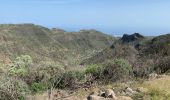 Excursión Senderismo Ingenio - Barranco de Guayadeque (Gran Canaria) - Photo 18