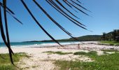 Excursión Senderismo Le Vauclin - Petite Anse Macabou - Pointe Marée - Photo 11