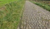Trail On foot Hoegaarden - Mene- en Jordaanwandeling - Photo 4