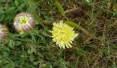 Trail Walking Lodève - Lodève - La Solitude - Les Grasseries - Photo 18