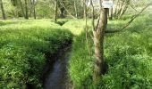 Randonnée Marche Chaumont-Gistoux - #210507 - Dion-le-Mont, La Commone, Bois de Vieusart et le Bonly**** - Photo 8