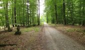 Trail On foot Unknown - Heilbronner Rundwanderweg 5 - Photo 2