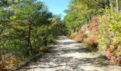 Percorso Marcia Saou - La Grande Combe en Forêt de Saoû - Photo 9