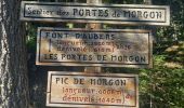 Tocht Stappen Savines-le-Lac - Pic de Morgon 13.8.23 - Photo 18