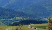 Tocht Stappen Luttenbach-près-Munster - Autour du Petit Ballon et ses fermes auberges - Photo 8