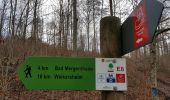 Tocht Te voet Bad Mergentheim - Liebliches Taubertal 15 - Photo 4