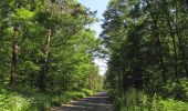 Tocht Stappen Choisy-au-Bac - en forêt de Laigue_7_06_2020_sur les routes de la Fontaine à Baril_Belle Assise_Plessis-Brion_chemin de Voie d'Eau - Photo 18