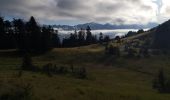 Tour Wandern Poligny - Col de Chétive /Cime du Chamois.  - Photo 3