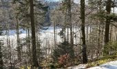 Trail Walking Stosswihr - La Schlucht Le Hohneck Le lac de La Lande Le Collet - Photo 4