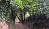 Tour Wandern Ordes - 2024 Camino Ingles 7 - Photo 4