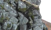 Randonnée Marche Albepierre-Bredons - Albepierre - Plomb du Cantal et des cascades - Photo 19